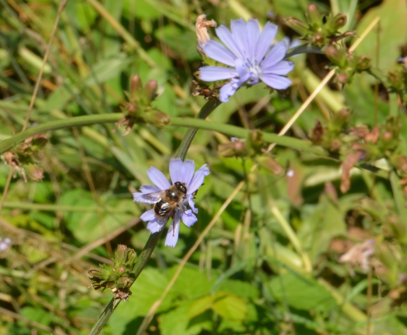 No s'ha trobat l'arxiu